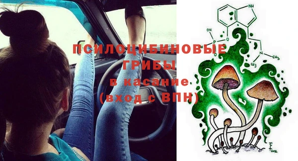 2c-b Алзамай