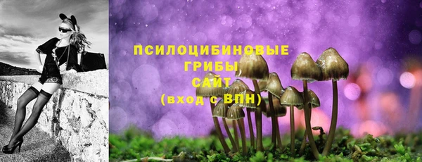дмт Алексин