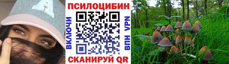 Галлюциногенные грибы мицелий  наркошоп  Похвистнево 