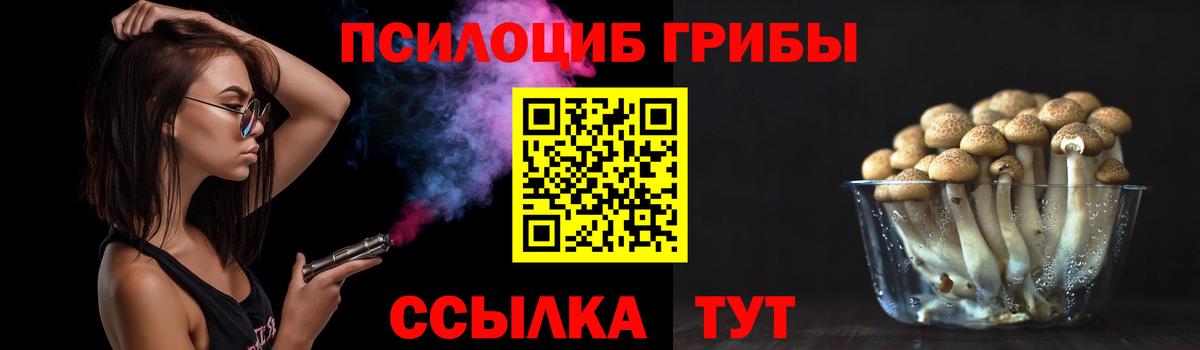 Похвистнево  Псилоцибиновые грибы мицелий  Вход с VPN  Галлюциногенные грибы Psilocybe 
